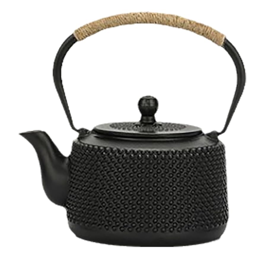 鉄瓶 小 茶道具 鉄器 南部 急須 急須鉄瓶 茶器 鋳物 訳あり №4 cooking-clocca_wc-iwachu-5arare